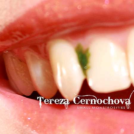 Tereza Černochová vydává debut